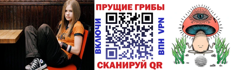 Галлюциногенные грибы Psilocybine cubensis Высоцк