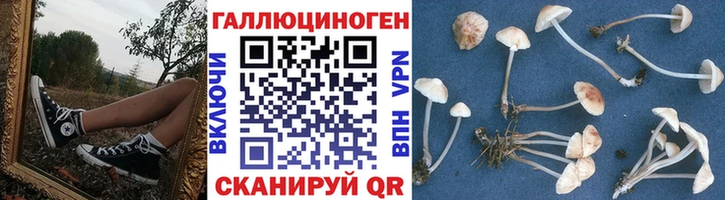Псилоцибиновые грибы прущие грибы  Высоцк 